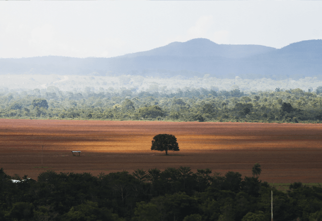 Área de cerrado desmatada para plantio no município de Alto Paraíso de Goiás (GO) | Distribuição/Marcelo Camargo/Agência Brasil