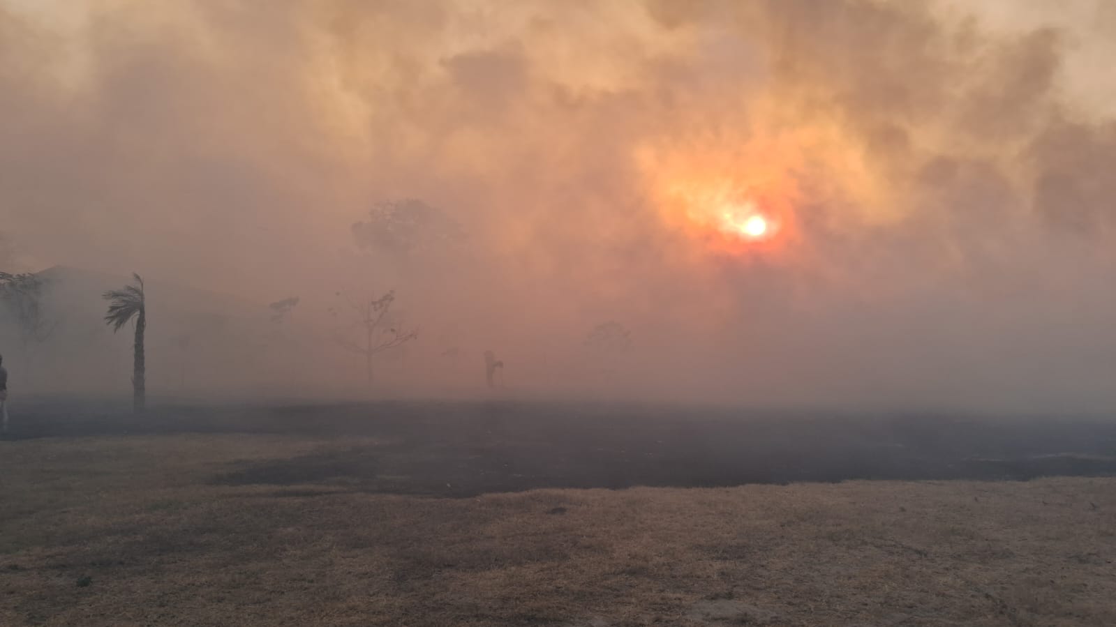 Brasil e Bolívia firmam acordo para ação conjunta no combate a incêndios