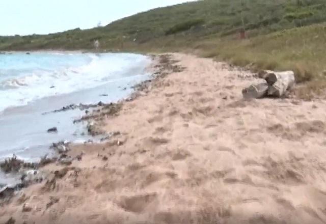 Faixa de areia com parte da água do mar e área de mata