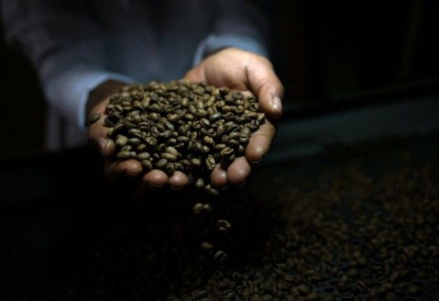 Fazenda de café no Brasil | Reuters