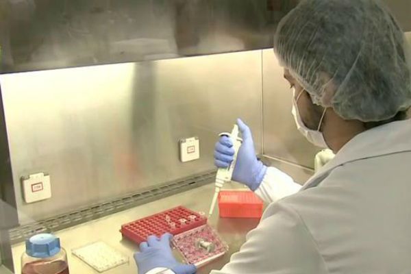 Febre amarela mata 23 pessoas em Minas Gerais