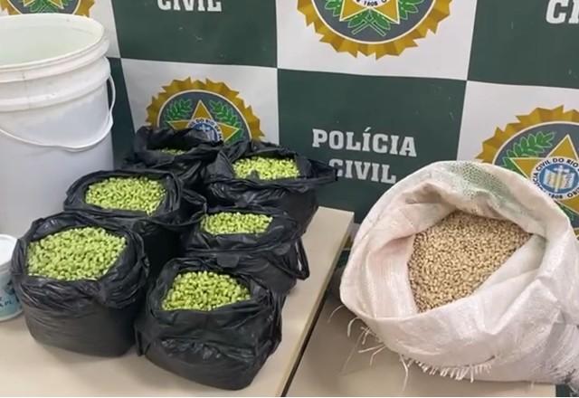 Feijão fradinho pintado para parecer feijão de corda