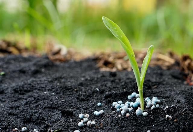 Fertilizantes