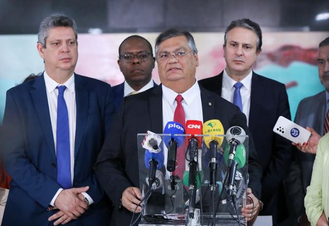 Flávio Dino e ministros