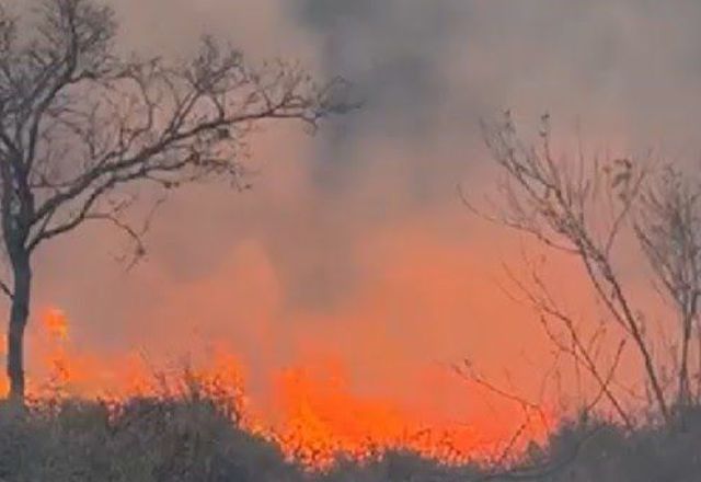 Fogo em vegetação de Jaguariúna (SP) | Foto: Reprodução/VTV News