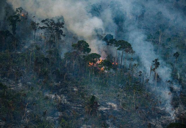Fogo é usado no processo de desmatamento, para finalizar a mudança do uso do solo | Greenpeace