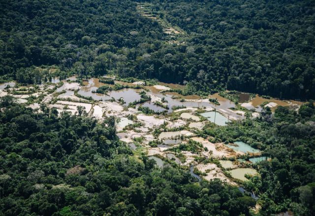 Terras Indígenas: garimpo ilegal devastou área equivalente a 4 campos de futebol por dia em 2023