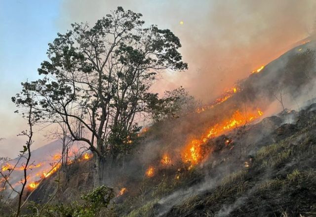 Estado vem registrando incêndios florestais desde o fim de agosto | Reprodução
