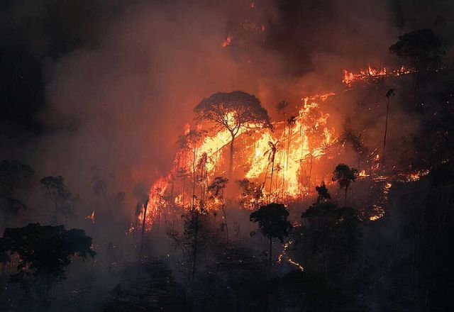 Queimadas na Amazônia foram registradas pelo Greenpeace | Nilmar Lage/Greenpeace