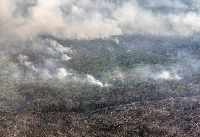 Sobrevoo do Greenpeace mostra queimada na Amazônia em 2024 | Marizilda Cruppe/Greenpeace