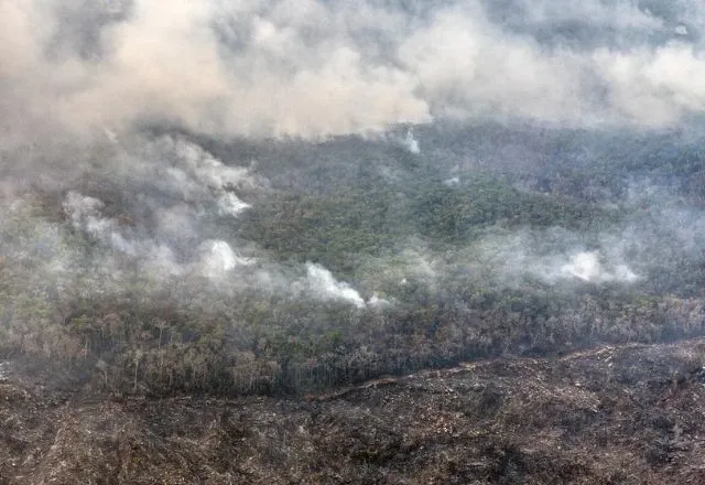 Sobrevoo do Greenpeace mostra queimada na Amazônia em 2024 | Marizilda Cruppe/Greenpeace