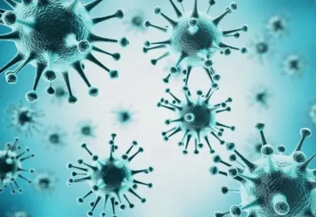 Quase 5 mil pessoas procuraram hospitais após contaminação no litoral de SP | Reprodução