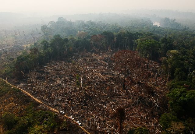 Desmatamento na Amazônia | Greenpeace