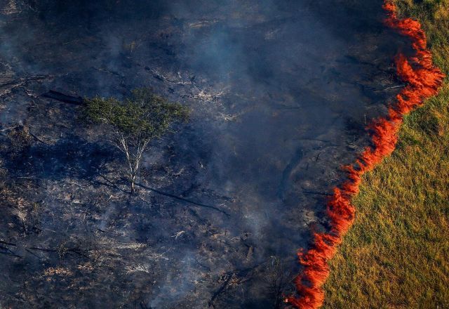 PL do licenciamento ambiental foi aprovado pelo Congresso | Reprodução