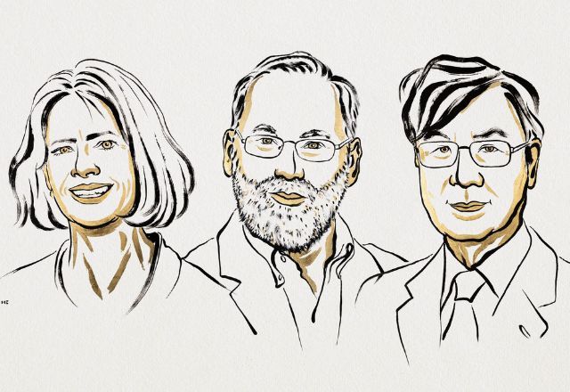 Nobel de Medicina 2025 vai para Mary E. Brunkow, Fred Ramsdell e Shimon Sakaguchi | Divulgação/Prêmio Nobel