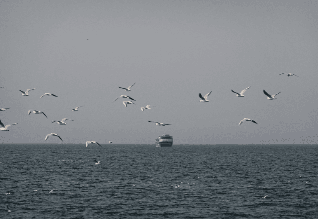 Pássaros voam perto de barco no Estreito de Ormuz, visto de Musandam, Omã | Foto: Amr Alfiky/Reuters - 02.03.2026