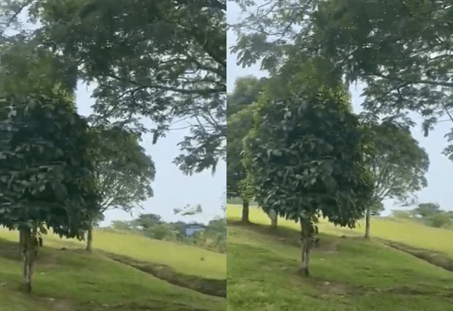 Vídeo registra avião militar colombiano perdendo altitude antes de explodir no solo | Foto: Reprodução/X/@petrogustavo - 23.03.2026