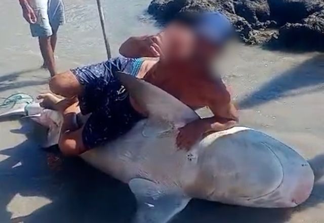 Vídeo da captura ilegal do animal viralizou nas redes sociais | Reprodução