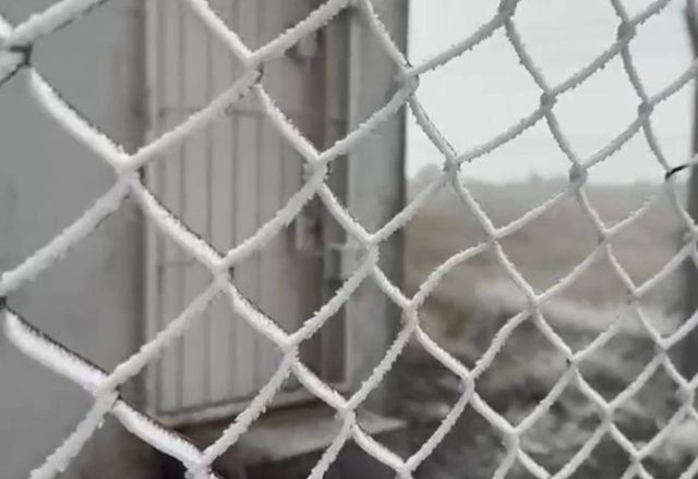 SC tem primeiro registro de neve no ano e temperaturas negativas