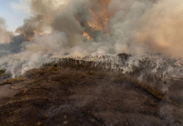 Fogo devastou 45,85% dos 5.600 hectares da área ambiental | Divulgação