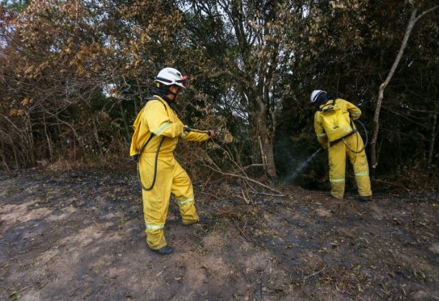 Brigadistas combatem o fogo no Cantareira | Marcelo S. Camargo/Governo de SP