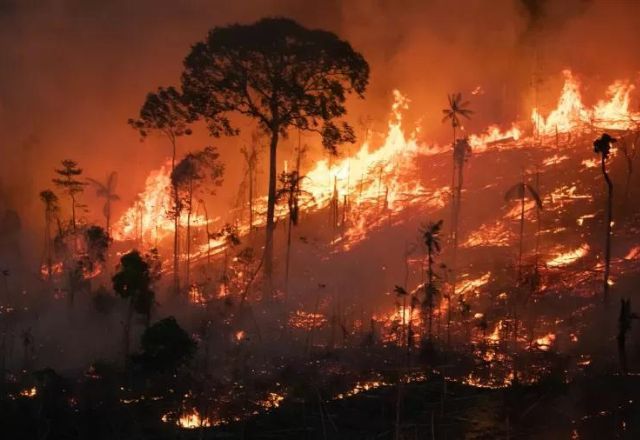 Nos cinco primeiros meses do ano, registros aumentaram 898% em comparação ao mesmo período no ano passado | Greenpeace