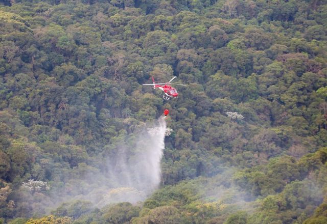 Três municípios ainda permanecem com focos de incêndio ativos | Divulgação/Governo de São Paulo