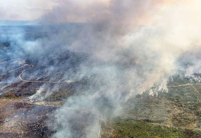 Governo estadual decretou situação de emergência | Greenpeace