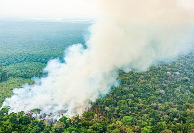 Emissões relacionadas às queimadas em 2024 já chegaram a 183 megatoneladas de carbono | Ricardo Stuckert