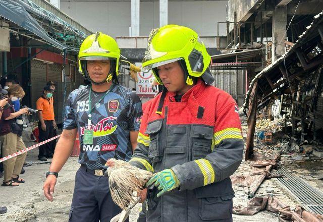 Incêndio matou ao menos mil animais que estavam no local | Divulgação/Escritório Distrital de Chatuchak