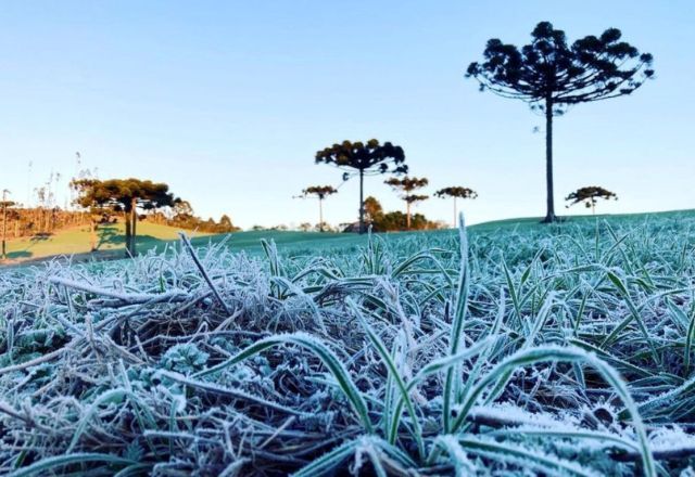 BrasilFrente fria provoca alerta de queda de temperatura no ParanáMassa de ar polar atinge todas as cidades paranaenses e pode apresentar risco leve à saúde