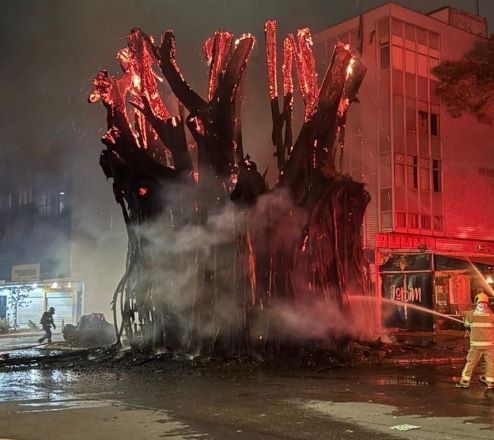 Gameleira | Divulgação/ Corpo de Bombeiros 