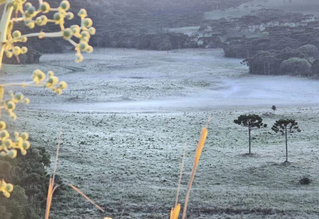 Geada surpreende SC próximo da chegada do verão e termômetros chegam a 1,4°C | Foto: Mycchel Legnaghi