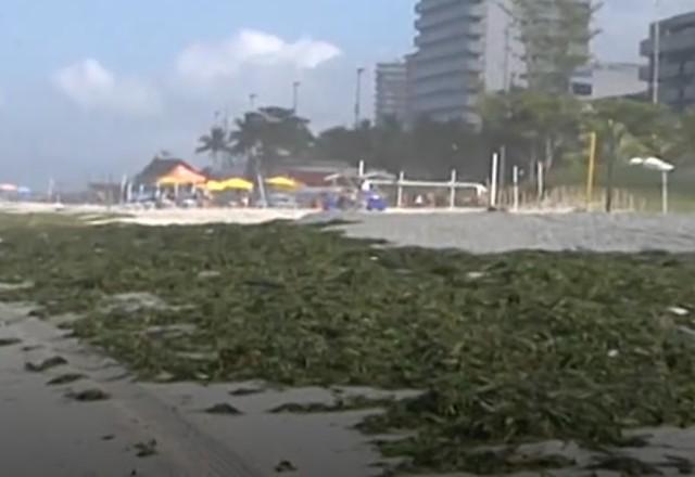 Gigogas na praia da Barra da Tijuca (RS)