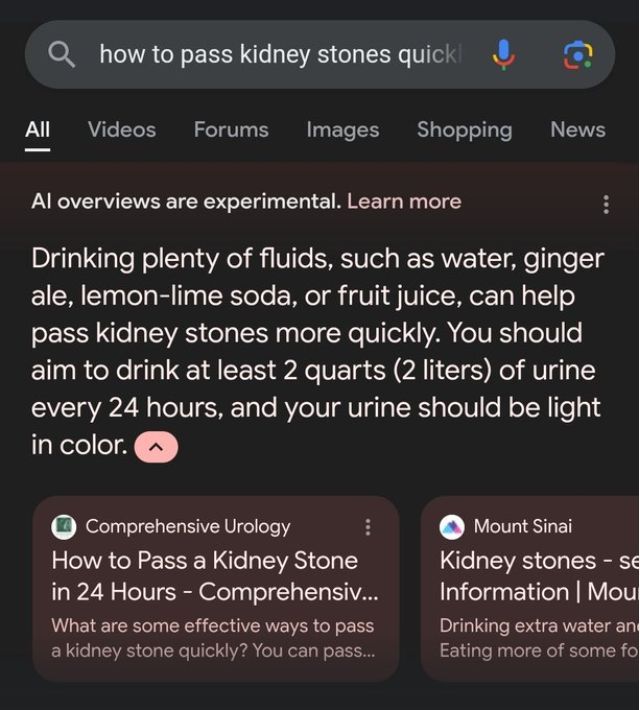 Google SGE fez uma orientação imprópria e se confundiu, chocando os usuários da ferramenta de IA | Reprodução/redes sociais
