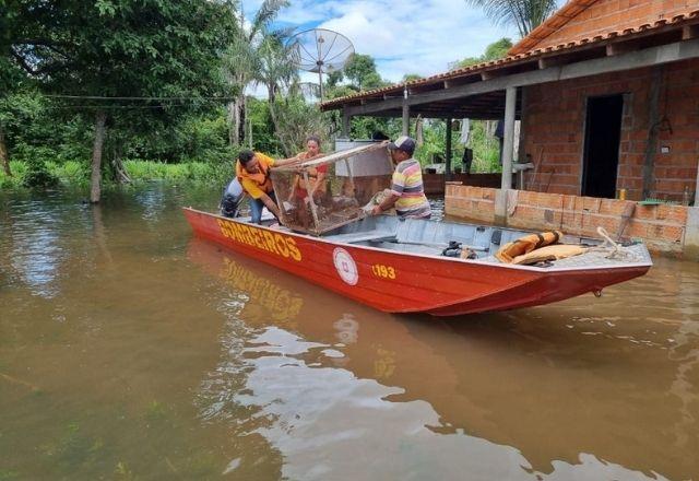 Sobe para 894 o número de pessoas afetadas pelas enchentes no Tocantins Sobe para 894 o número de pessoas afetadas pelas enchentes no Tocantins