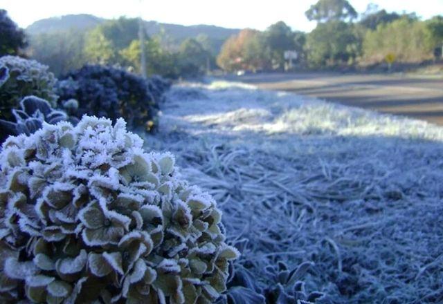 Grande Porto Alegre deve registrar temperaturas de 2ºC a 3ºC em alguns pontos | Divulgação