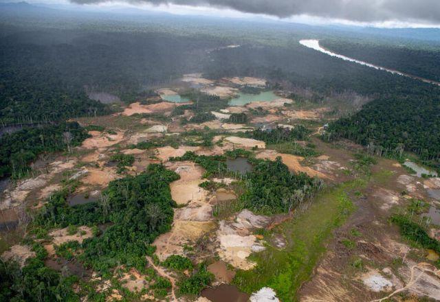 Estado do Mato Grosso foi o que mais desmatou pelo quarto mês consecutivo, com 372 km² derrubados | Christian Braga/Greenpeace