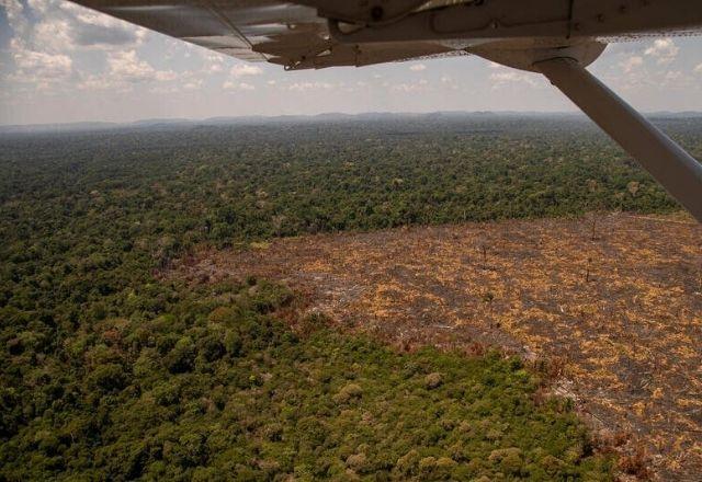 No Cerrado, houve 3.578 incêndios, número mais alto para o mês desde 1998 | Divulgação/Greenpeace