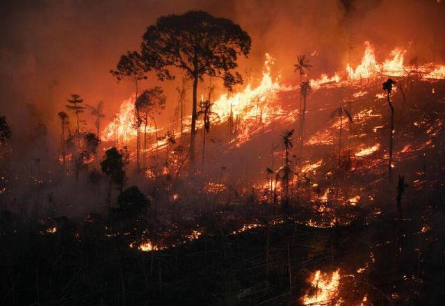 Amazônia concentra 90% da área queimada no Brasil no 1º bimestre, diz MapBiomas Amazônia concentra 90% da área queimada no Brasil no 1º bimestre, diz MapBiomas
