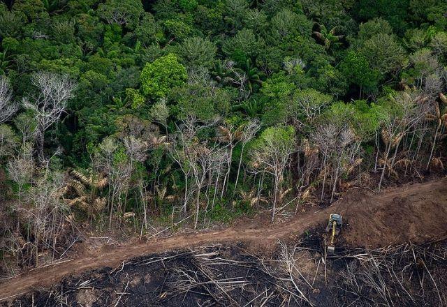 Terra Waimiri Atroari, em Roraima, foi a segunda mais pressionada pela derrubada de floresta no primeiro semestre | Christian Braga/Greenpeace
