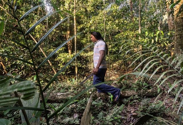 Indígena caminhando em floresta (Reprodução/Greenpeace)