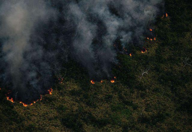 Mais de 34,1 mil focos de incêndio foram registrados no país desde o início do ano | Christian Braga/Greenpeace