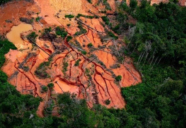 Em 2021, 2,5% (263 km²) de toda a destruição no bioma (10.362 km²) ocorreu dentro de territórios indígenas | Christian-Braga/Greenpeace