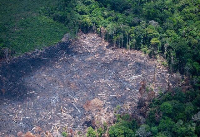 Desmatamento da Amazônia passa de 1 mil km² em abril Desmatamento da Amazônia passa de 1 mil km² em abril