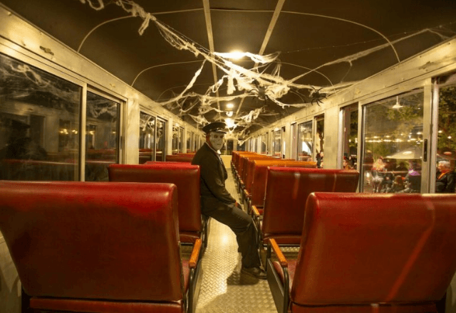 Foto: Divulgação | Serra Verde Express