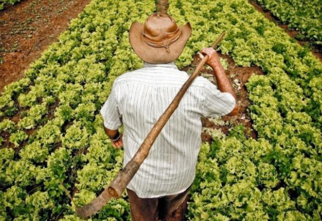 Homem segura instrumento para trabalho no campo, em frente a plantação (Agência Brasil)