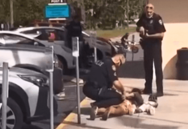 Criança de 3 anos é colocada no chão e com mãos para trás durante abordagem policial nos EUA