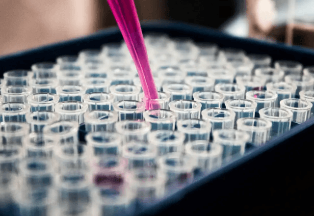 Congelamento de óvulos e embriões é um dos métodos para preservação da fertilidade