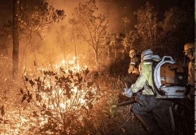 Cerrado tem área queimada de 221% em agosto | Divulgação: Mayangdi Inzaulgarat/Ibarna